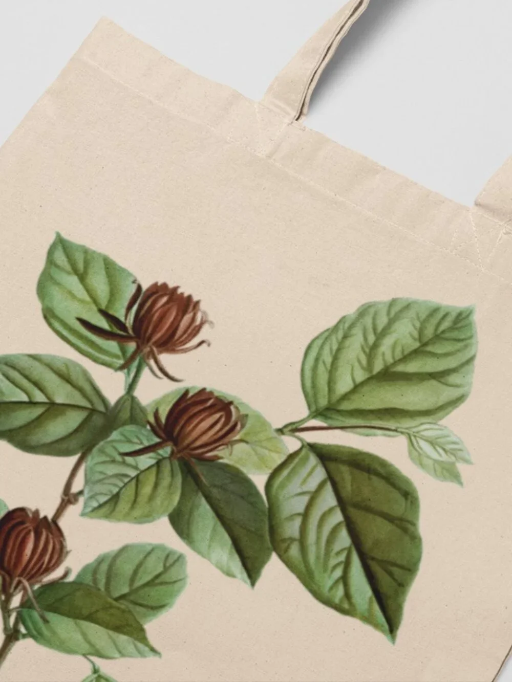 Carolina Allspice Vintage Botanical Print Graphic Canvas Tote Bag